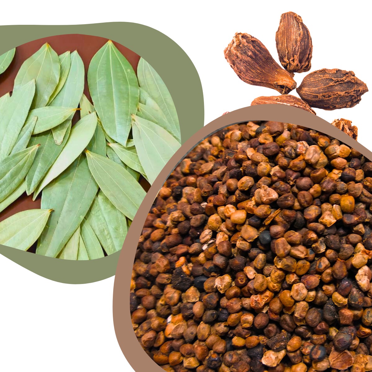 Black Cardamom Seeds (Sikkim) 100 gm and Bay Leaves Handpicked & Stem cut (20 grams)